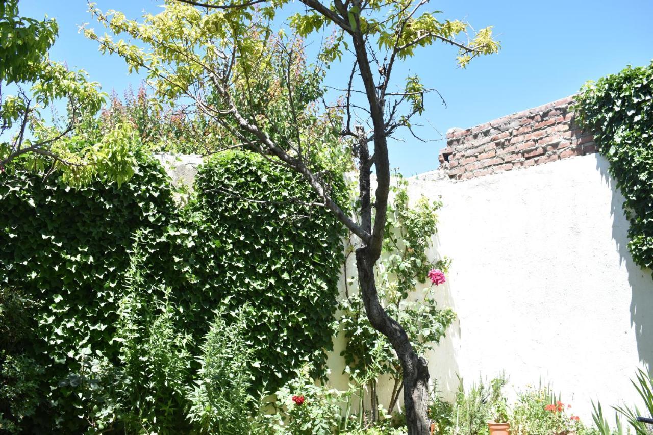 Del Alto-Viviendas Turisticas Zapala Buitenkant foto
